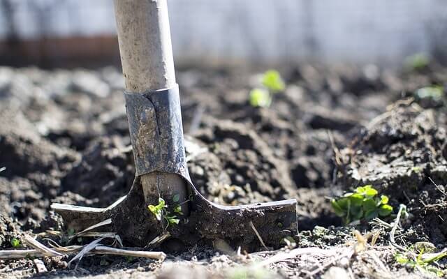 pelle dans la terre au jardin